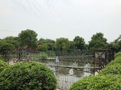 -灶头屋里