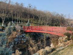 -羊山湖公园