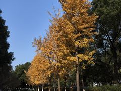 -范蠡湖公园