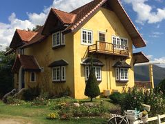 -黄色小屋