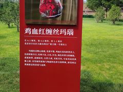 -北京大葆台遗址博物馆