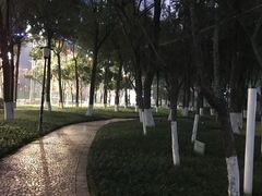 -重庆市江北嘴中央商务区中央公园