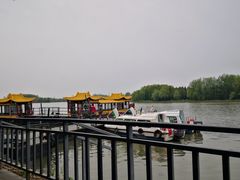 -溱湖国家湿地公园