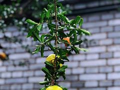 -南京金牛湖风景区