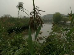 -白洋淀景区
