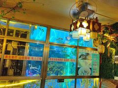 -食德喜·阳山鸡王食研基地