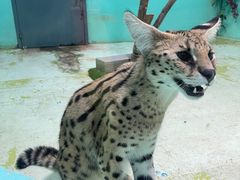 -北京野生动物园