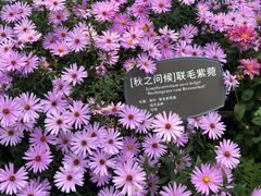 -国家植物园