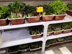 -捞围鲜·港式打边炉(海阳路店)