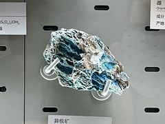 -浙江自然博物院(杭州馆)