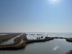 -盐城丹顶鹤湿地生态旅游区