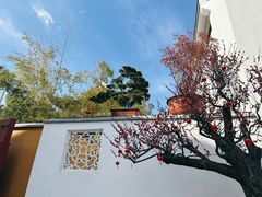 -龙华寺