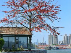 -喜洲吧·江畔老船厂·庭院餐厅(喜临院店)