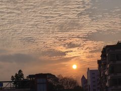 -仙湖旅游度假区