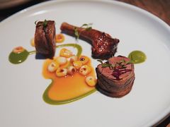 鸽子肉-EGoN