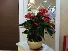 -伊丽莎白妇科医院·早孕检查