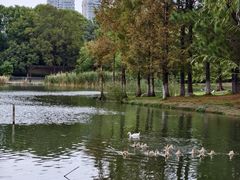 -白塘生态植物园