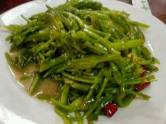 炒海菜-苍洱春饭店