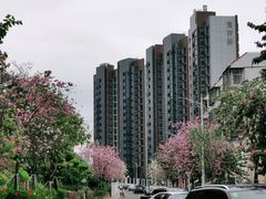 -小南山公园