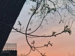 -和平门菜市场