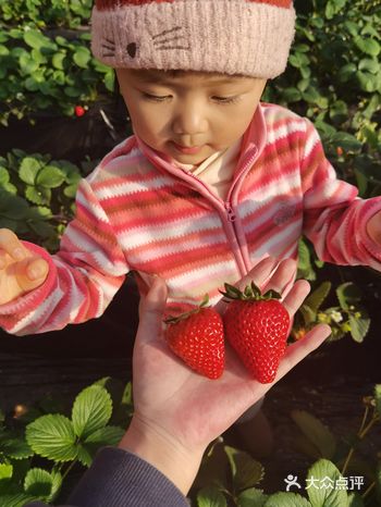 疫情原因…老板安排的一家一个棚子…同来的可以一起…