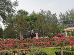 -济南植物园