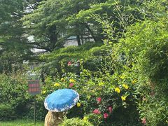 -晓港公园