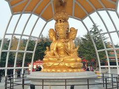 -龙口南山旅游景区