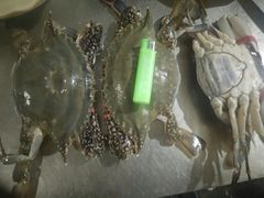 -三乐海鲜水饺馆