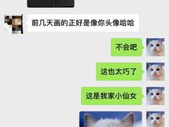 -Bastet sally猫舍购宠(静安店)