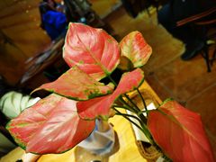 -盘炉forenza·云贵川融合小食堂 ( 钟楼中柳巷店)