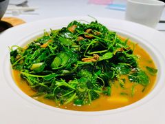 蚌肉金花菜-洋洋中餐馆·SINCE 1997(信投店)