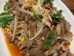 油泼百叶-即墨老公社·海肠捞饭大王(古城店)