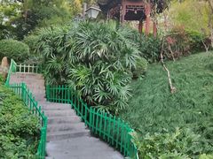 -乌山风景区