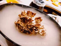 有机舞菇-煲宫猪肚鸡(晶品店)