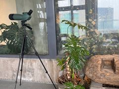 -漪龙台·B26 Rooftop Lounge