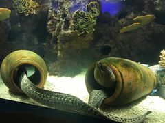 -南昌融创海世界