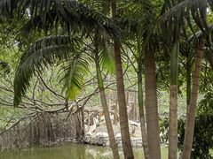 -深圳野生动物园