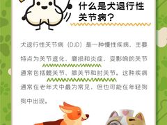 -康成宠物医院24H·CT·核磁共振