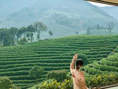 -帐篷客·溪龙茶谷度假酒店