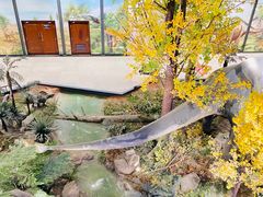 -湖南省地质博物馆