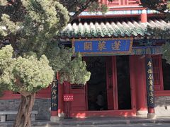 -蓬莱阁景区