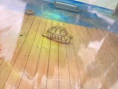 -宁波野生动物园