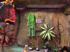 -醉小酒馆·川菜·江湖菜·重庆菜(观音桥旗舰店)