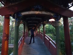 -迎泽公园