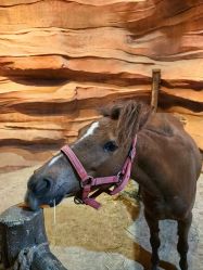 点击看大图 -酷嗒动物文化乐园(cutezoo西溪乐天城店)