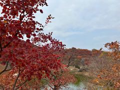 -周口店坡峰岭风景区