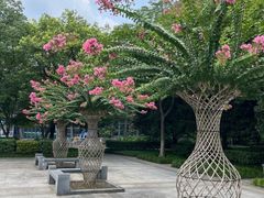 -杭州城北体育公园