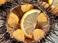 -九號院子海鲜烧烤