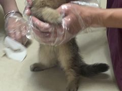 -义乌市派和宠物医院(贝村诊所)